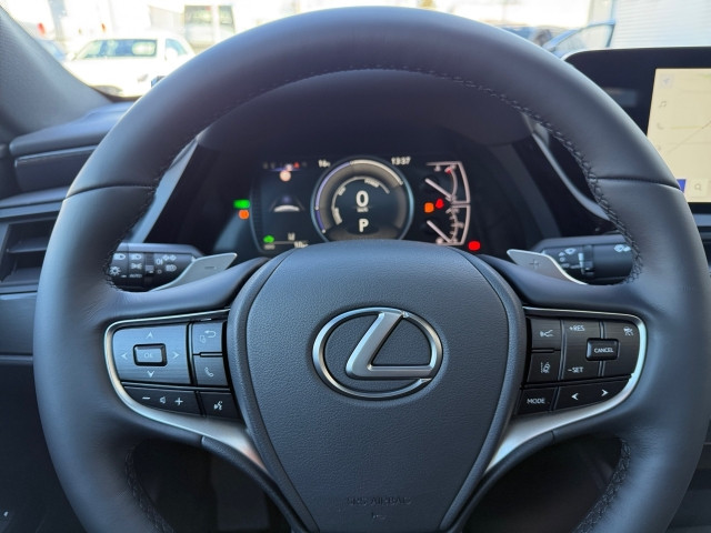 Bild 14: Lexus ES 300h Business Line