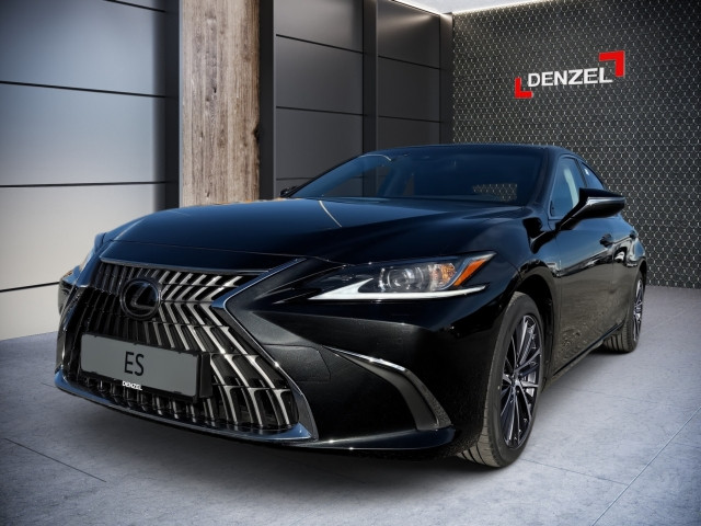 Bild 1: Lexus ES 300h Business Line